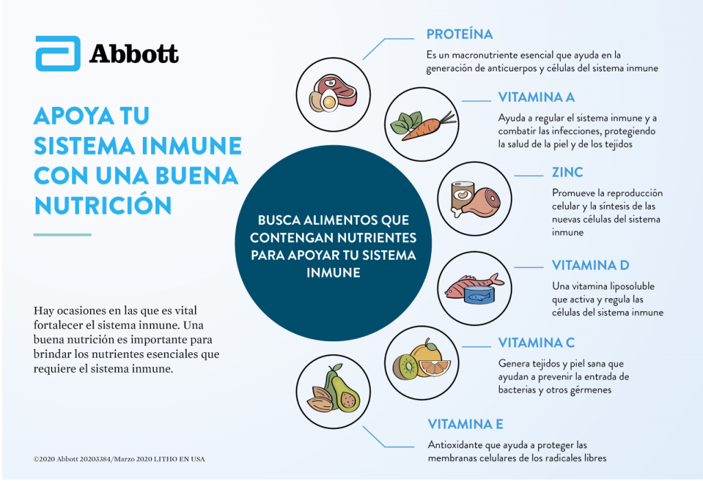 La imagen tiene un atributo ALT vacío; su nombre de archivo es Siete-nutrientes-esenciales-para-fortalecer-tu-sistema-inmune-1-1024x702.png