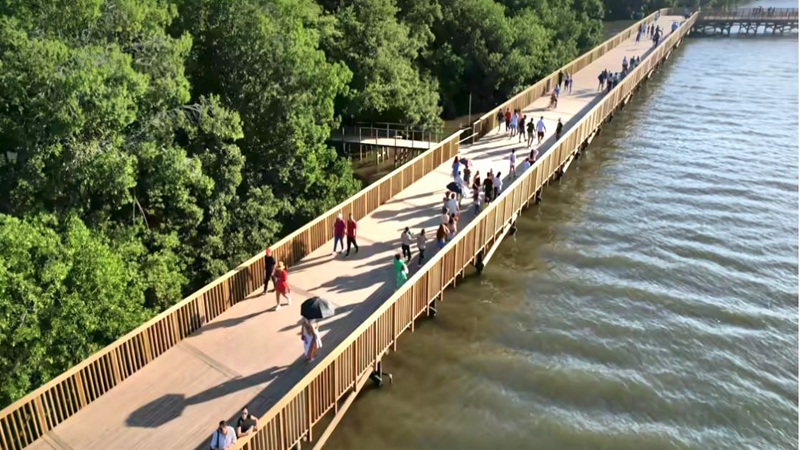 Ecoparque Ciénaga de Mallorquín: el compromiso ambiental de Barranquilla con su único humedal urbano