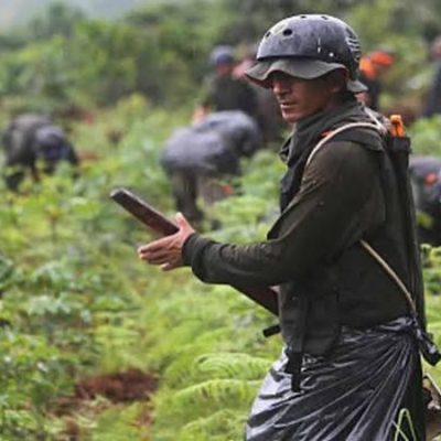 Estados Unidos mantiene la descertificación para Colombia en la lucha antidrogas